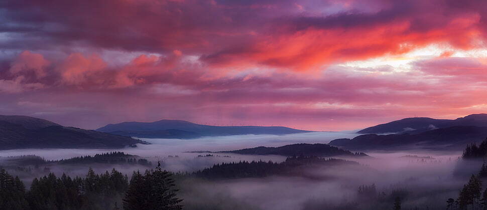 breaking-dawn-trossachs-foggy-forest-wallpaper-preview.jpeg